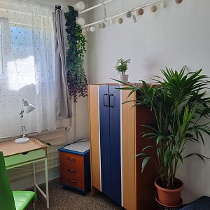 Samostatnú nepriechodnú slnečnú izbu.